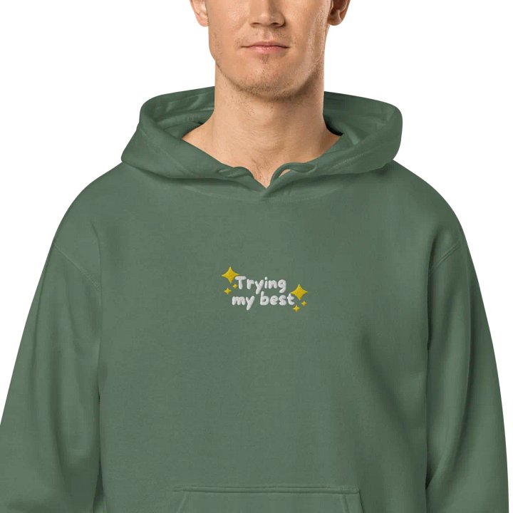 trying my best embroidered product image (19)
