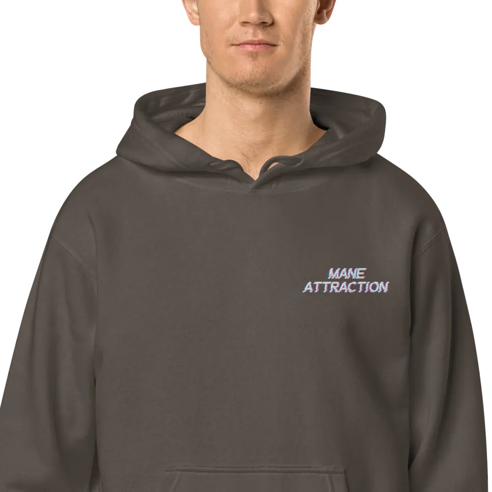 MA Embroidered Hoodie product image (4)