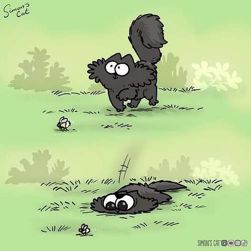 Stealth Mode ON