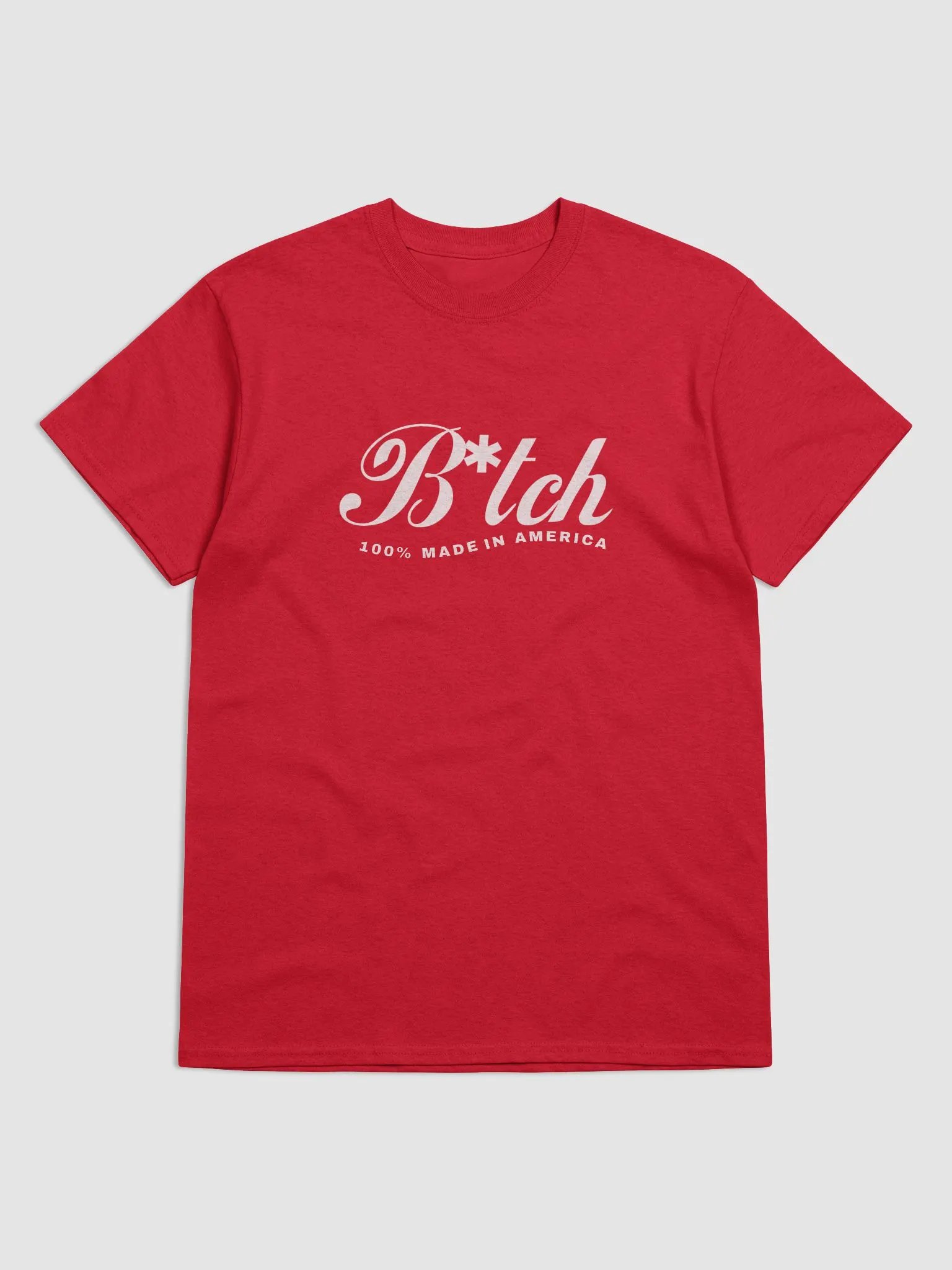 all american b*tch tee product image (1)