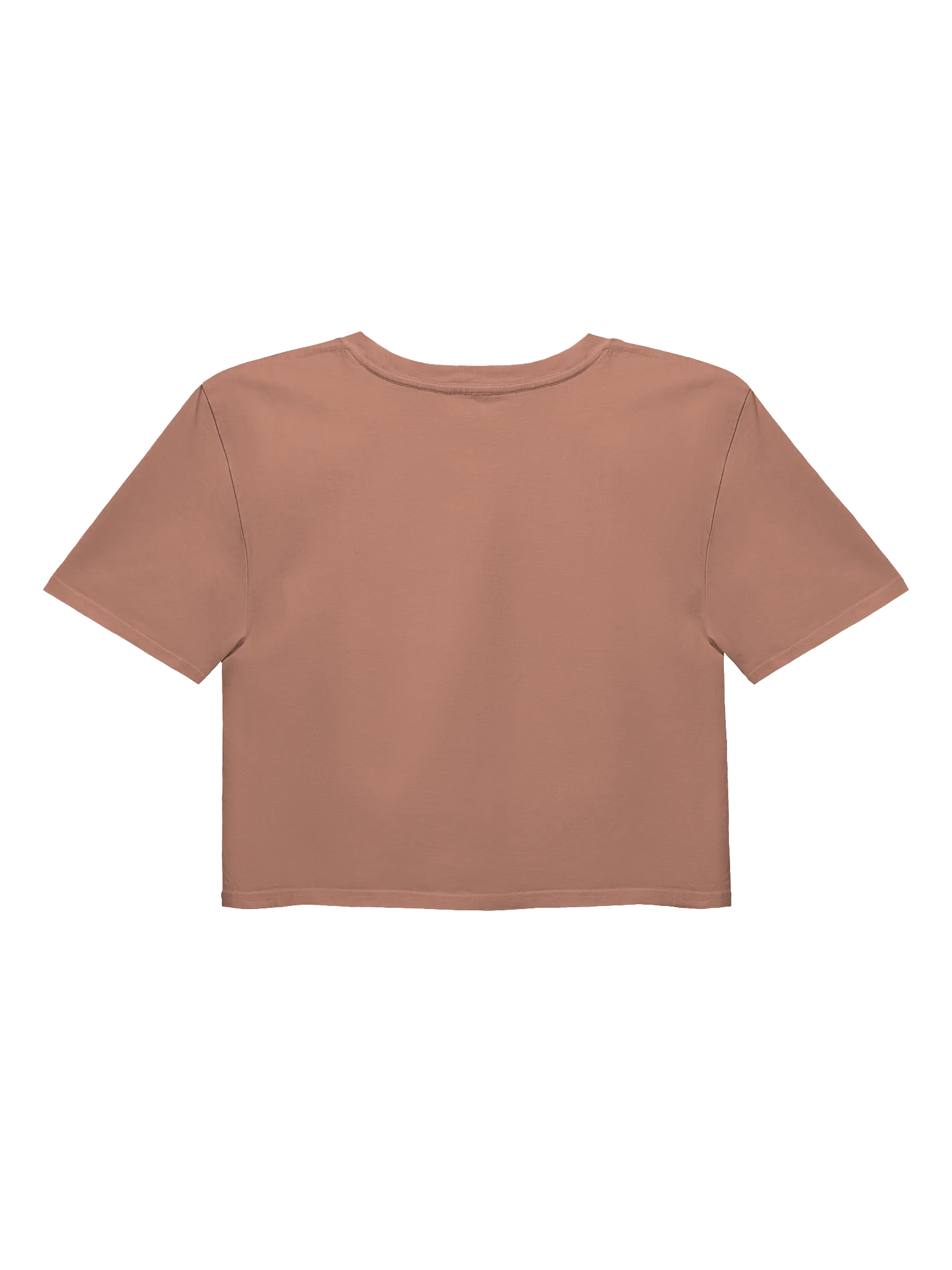 Classic Brownishh Crop Top (Tan) product image (2)