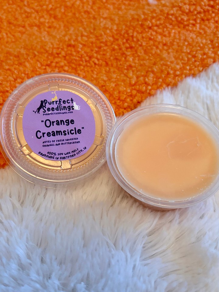 Orange Creamsicle Wax Melt product image (2)