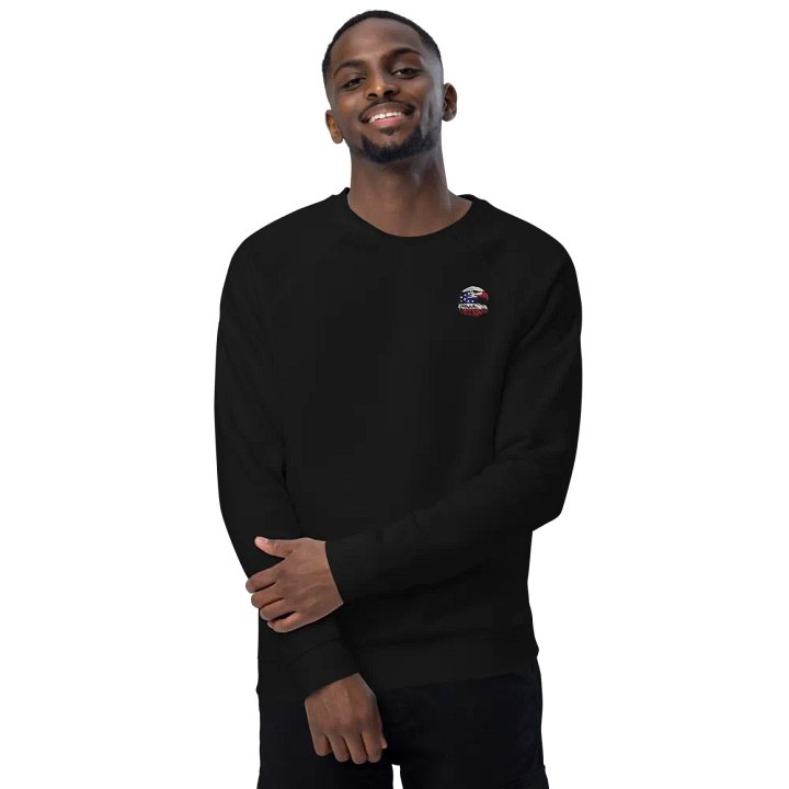 Home of the Brave, Land of the Free PositivePatriots™ Sweatshirt product image (2)