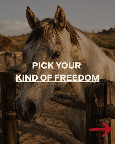 No wrong answers here.

Give me a horse, an open sky, somewhere my boots can get dusty and absolutely no reason to rush home....