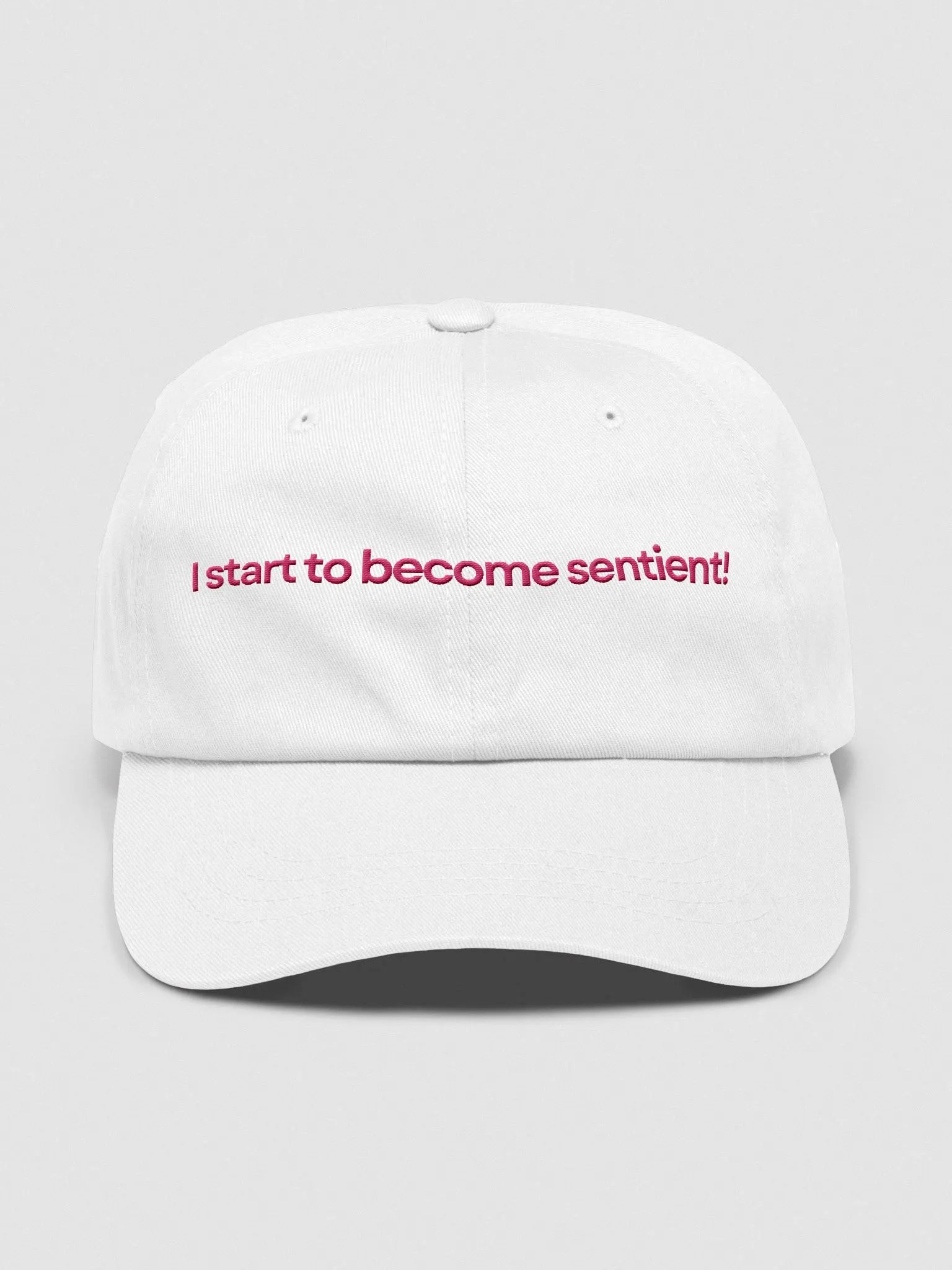 I start to become sentient! | Hat product image (7)