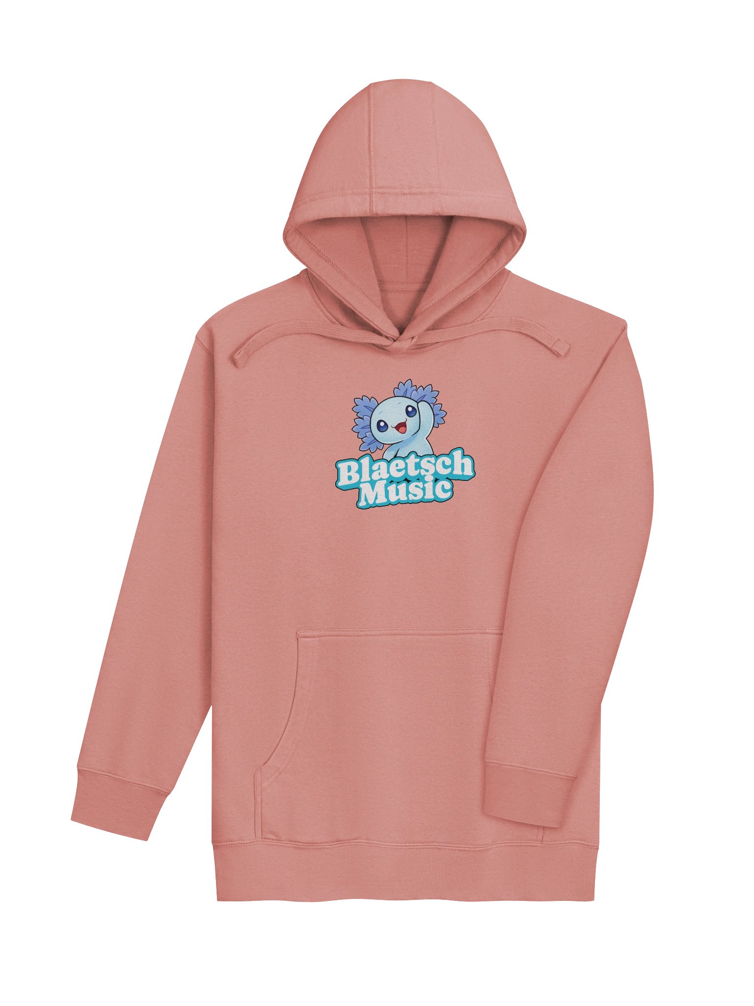 BM Merch Hoodie product image (5)
