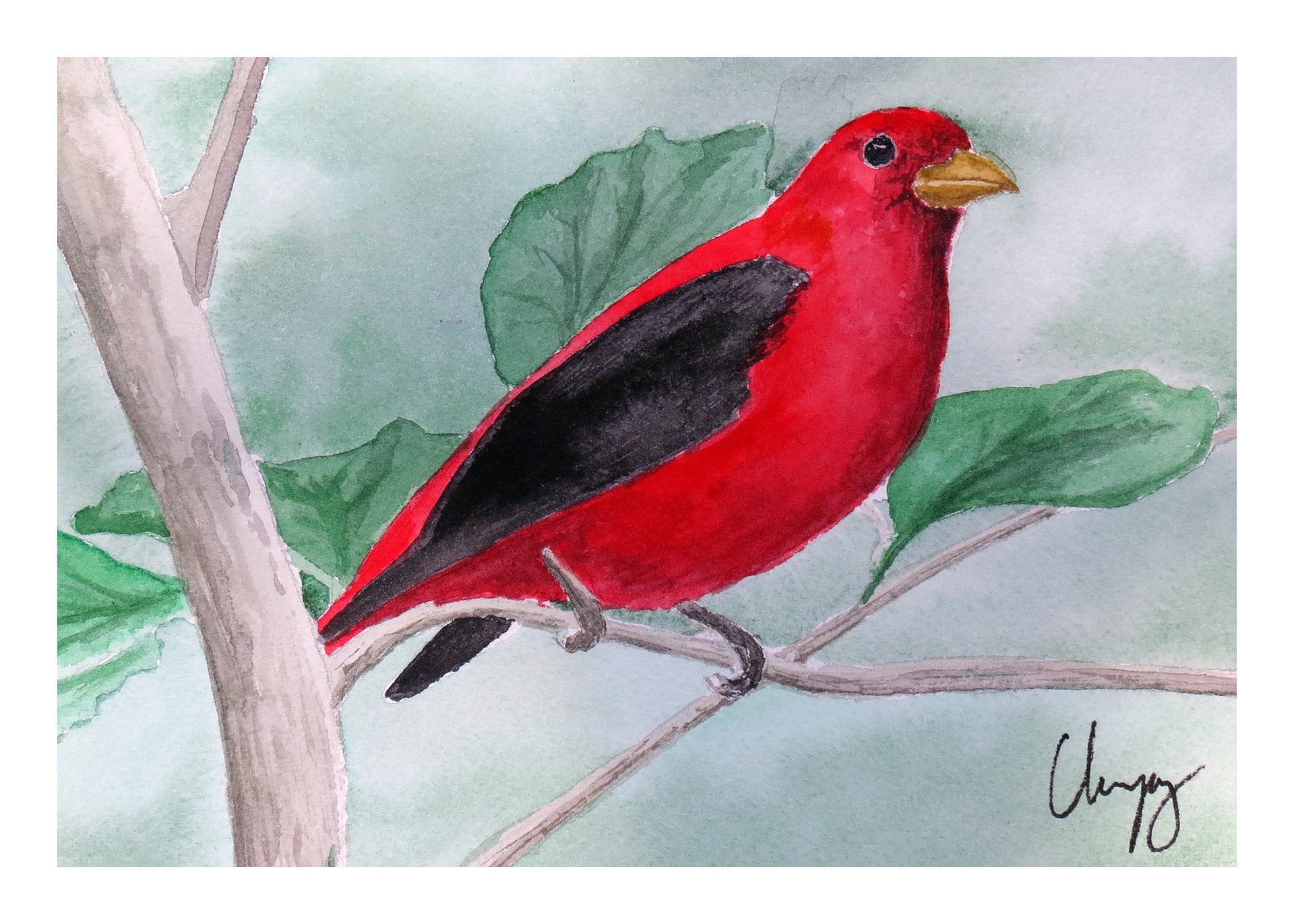 Scarlet Tanager - Original Watercolor Painting product image (2)