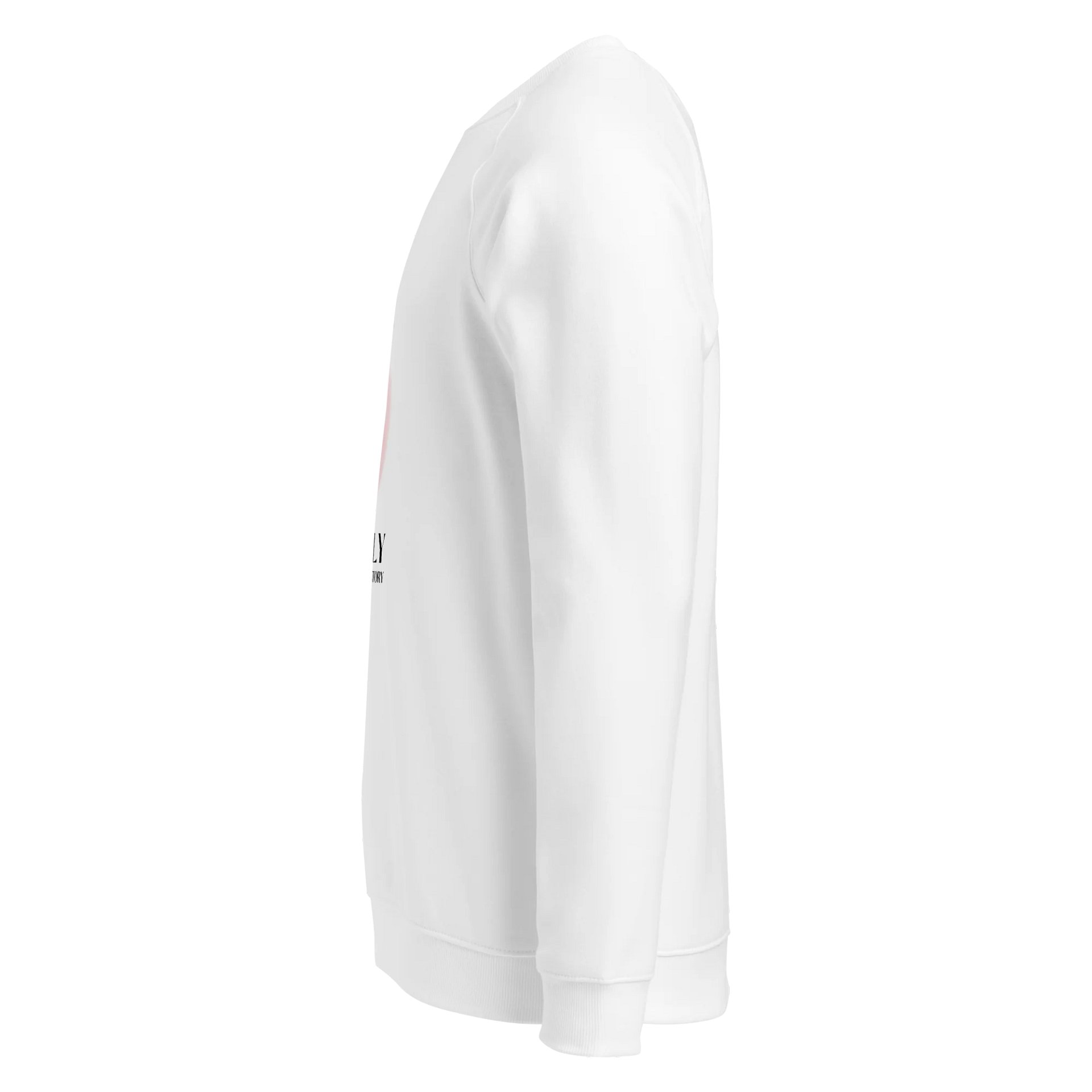 Women's Organic Raglan Sweatshirt ORFB0150 product image (4)