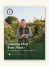 Looking After Your Plants (USA Edition)