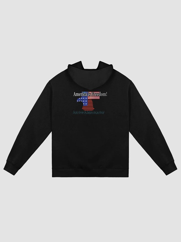 USA 4 FREEDOM HOODIE product image (8)