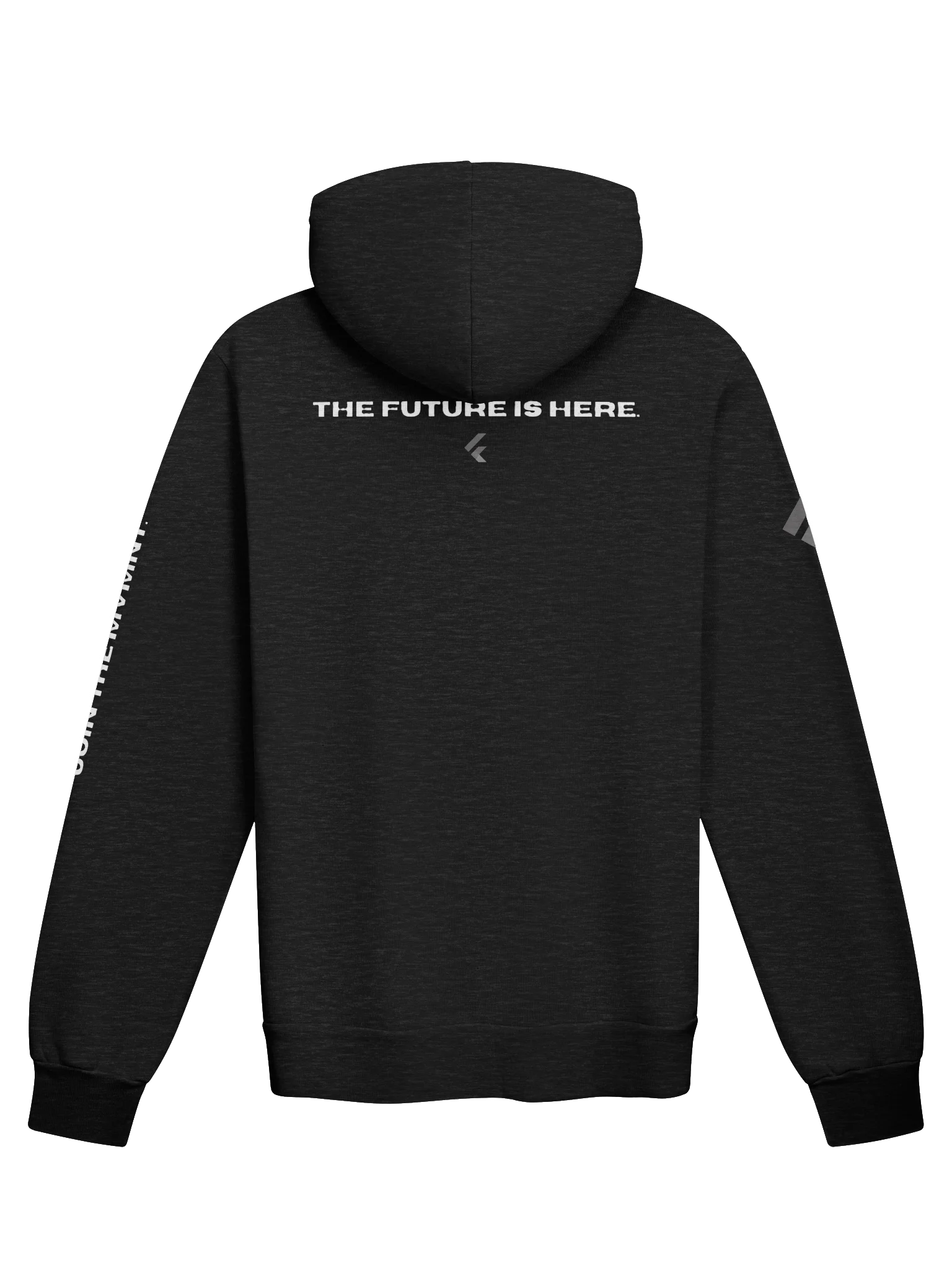 FGTP FALL HOODIE product image (2)