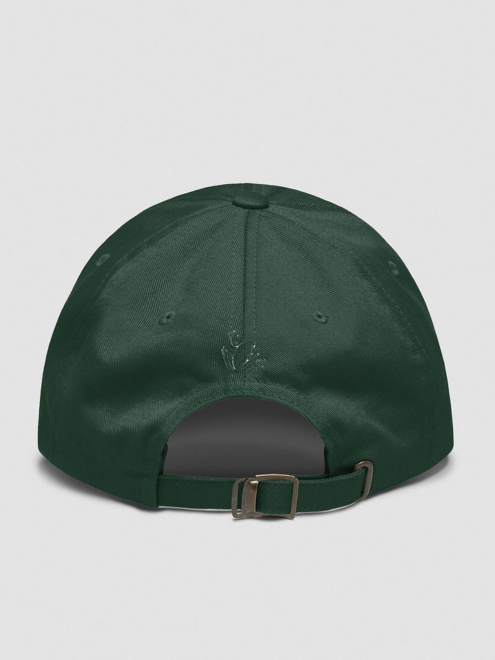 ‘TAKE THE LEAP’ EMBROIDERED DAD HAT product image (5)