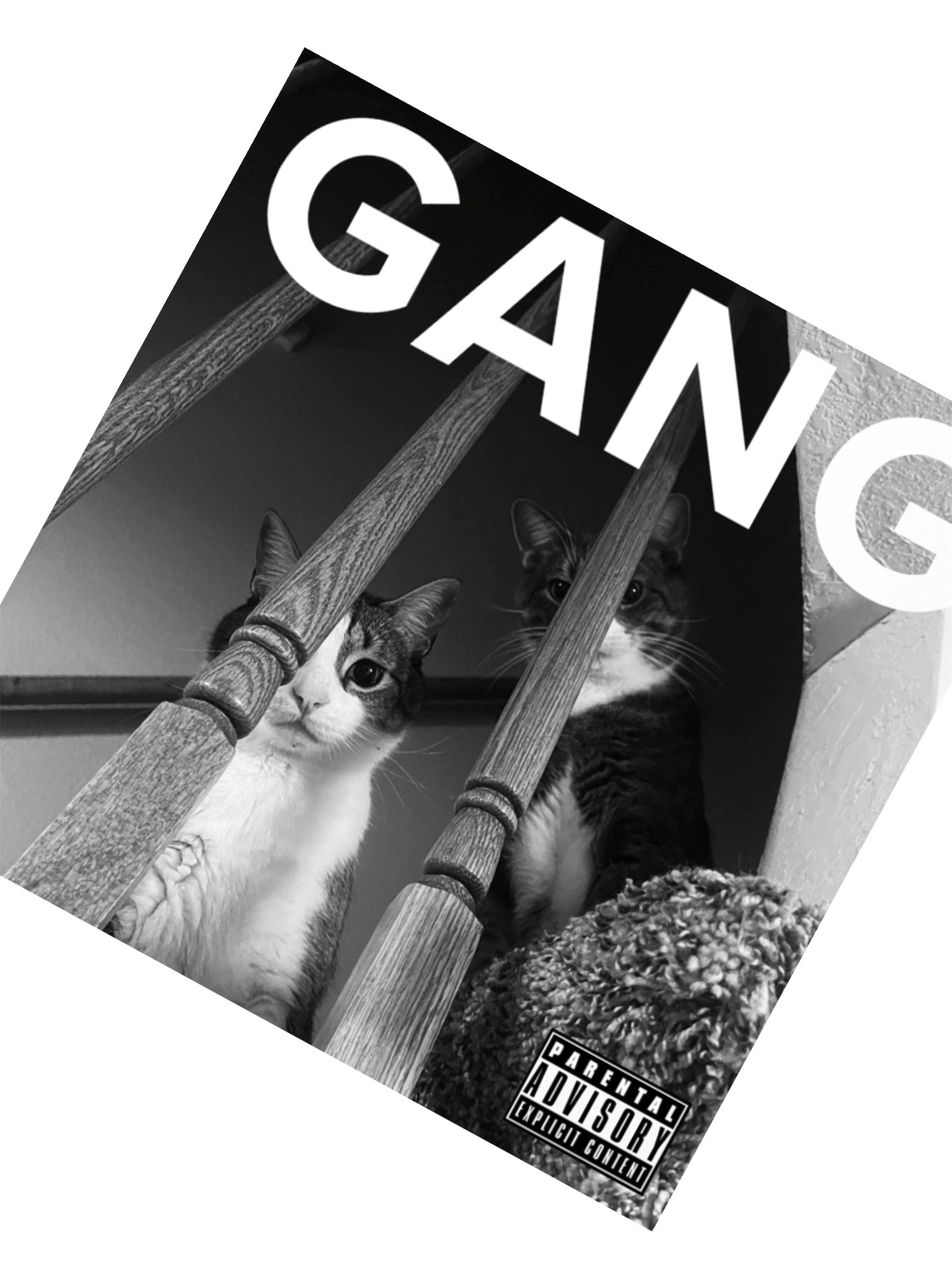 we should start a band product image (2)