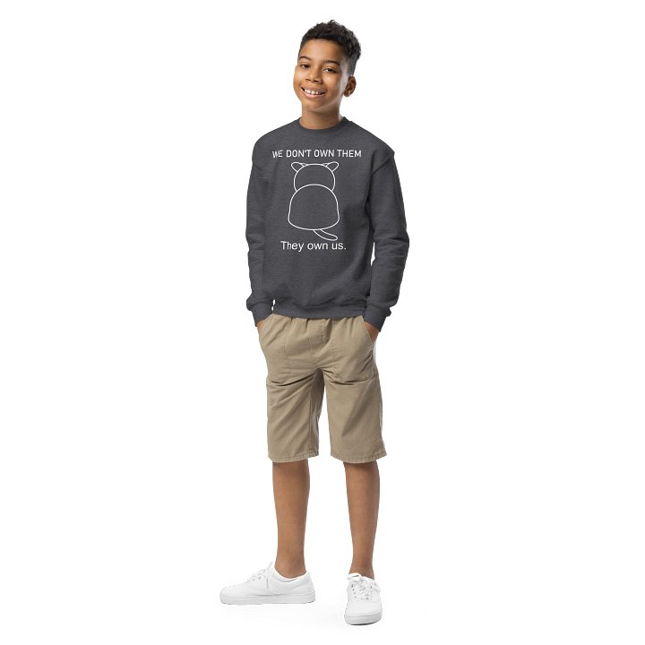 Cats Own People - Unisex Youth Sweatshirt product image (3)