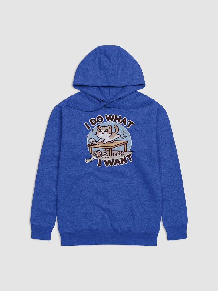I do what I want hoodie product image (1)