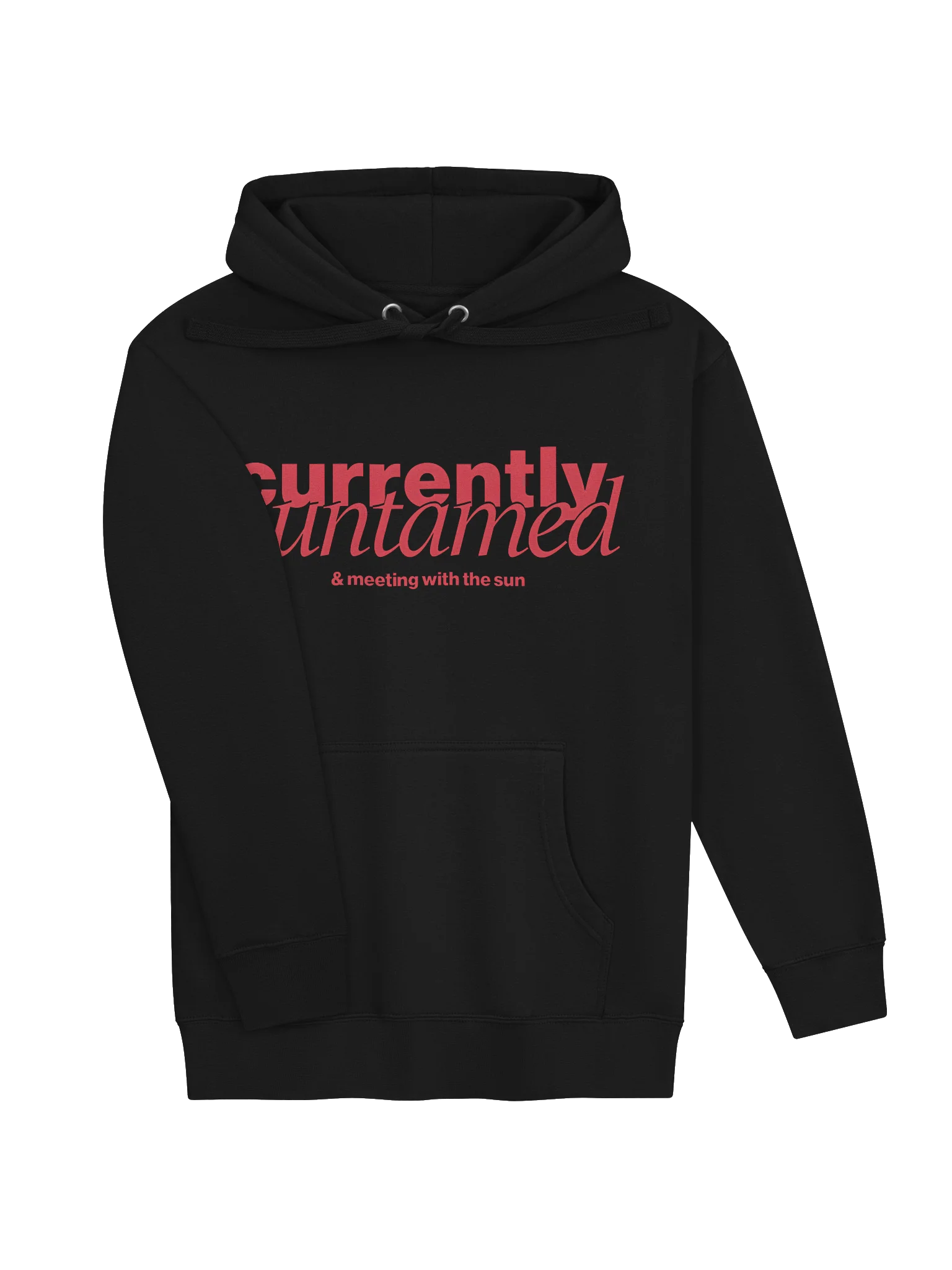 Currently Untamed Hoodie product image (11)