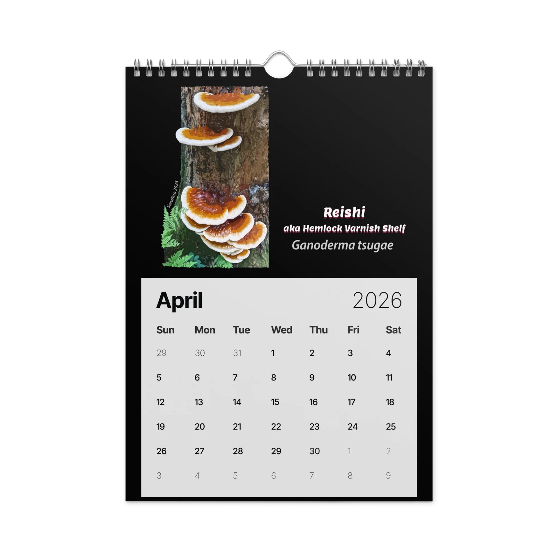 2026 Calendar (A4) product image (5)