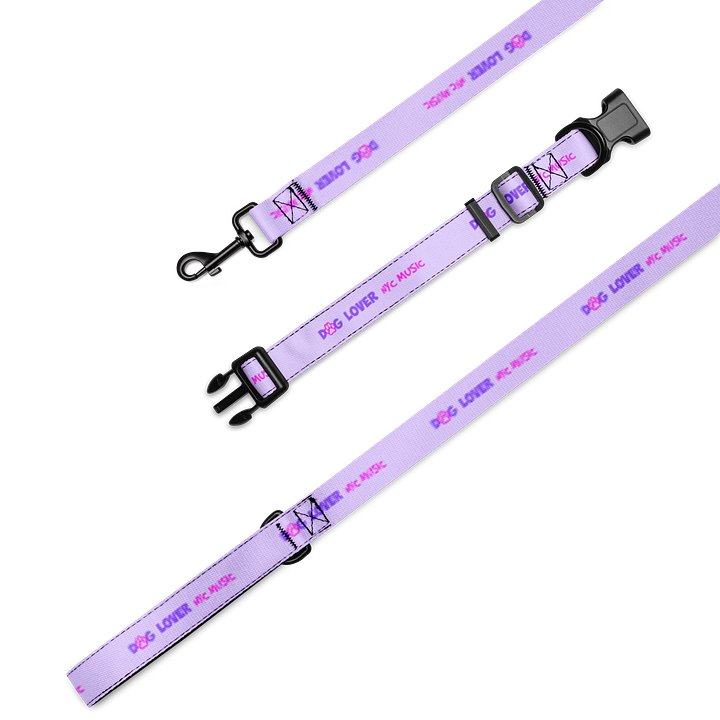 DogLoverNYCMusic Collar and Leash Set product image (1)