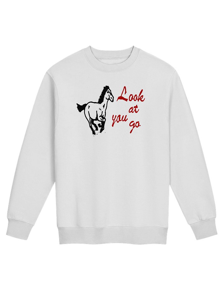 LOOK AT YOU GO SWEATSHIRT product image (1)
