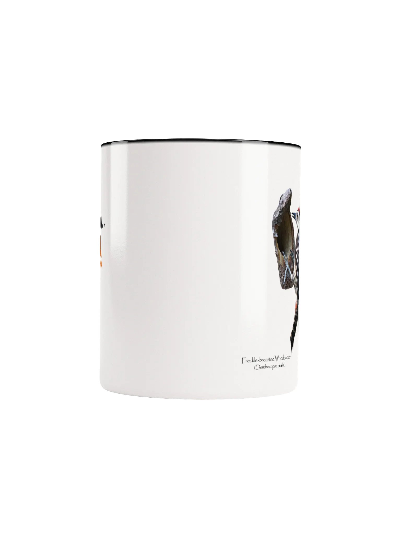 Freckle-Breasted Woodpecker mug product image (45)