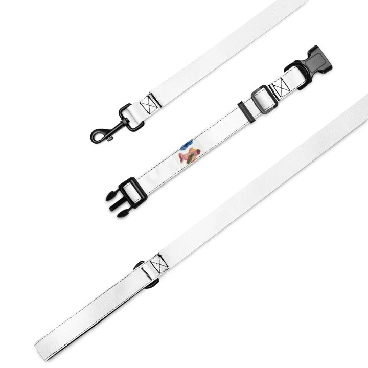 Kid Airplane (Pet Collar & Leash) product image (1)