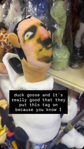 Big brain Serbian Chinese store #china #expectationvsreality #temu #goose
