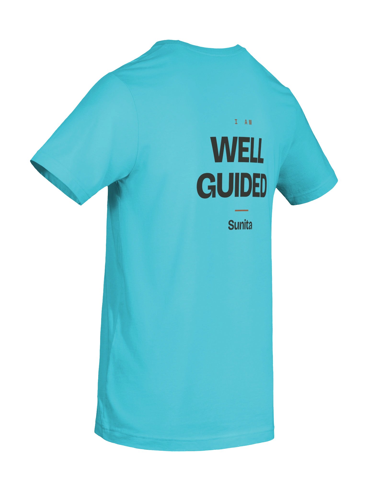 Well guided; of good conduct. product image (76)
