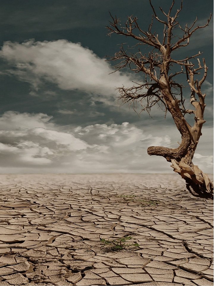Earth Day product image (1)
