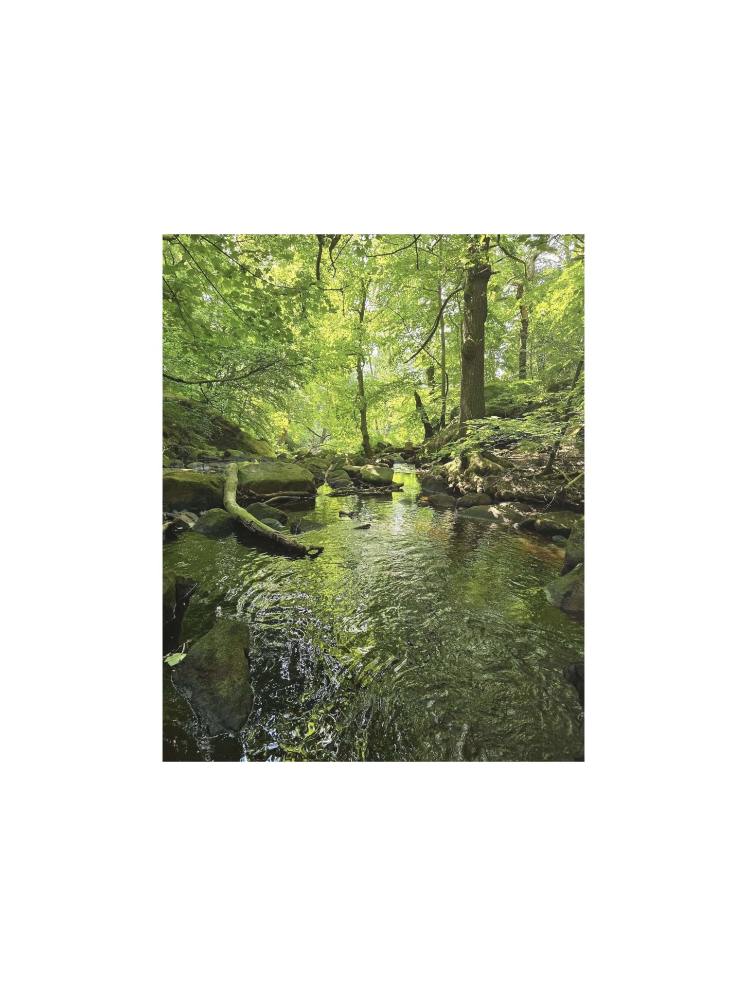 Padley Gorge product image (1)