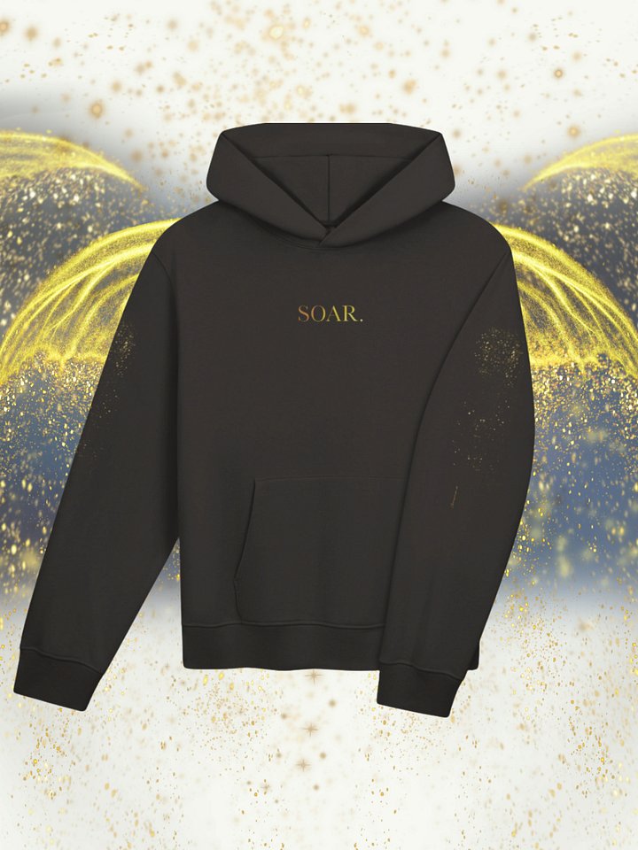 "SOAR" Hoodie [Street Team] product image (2)