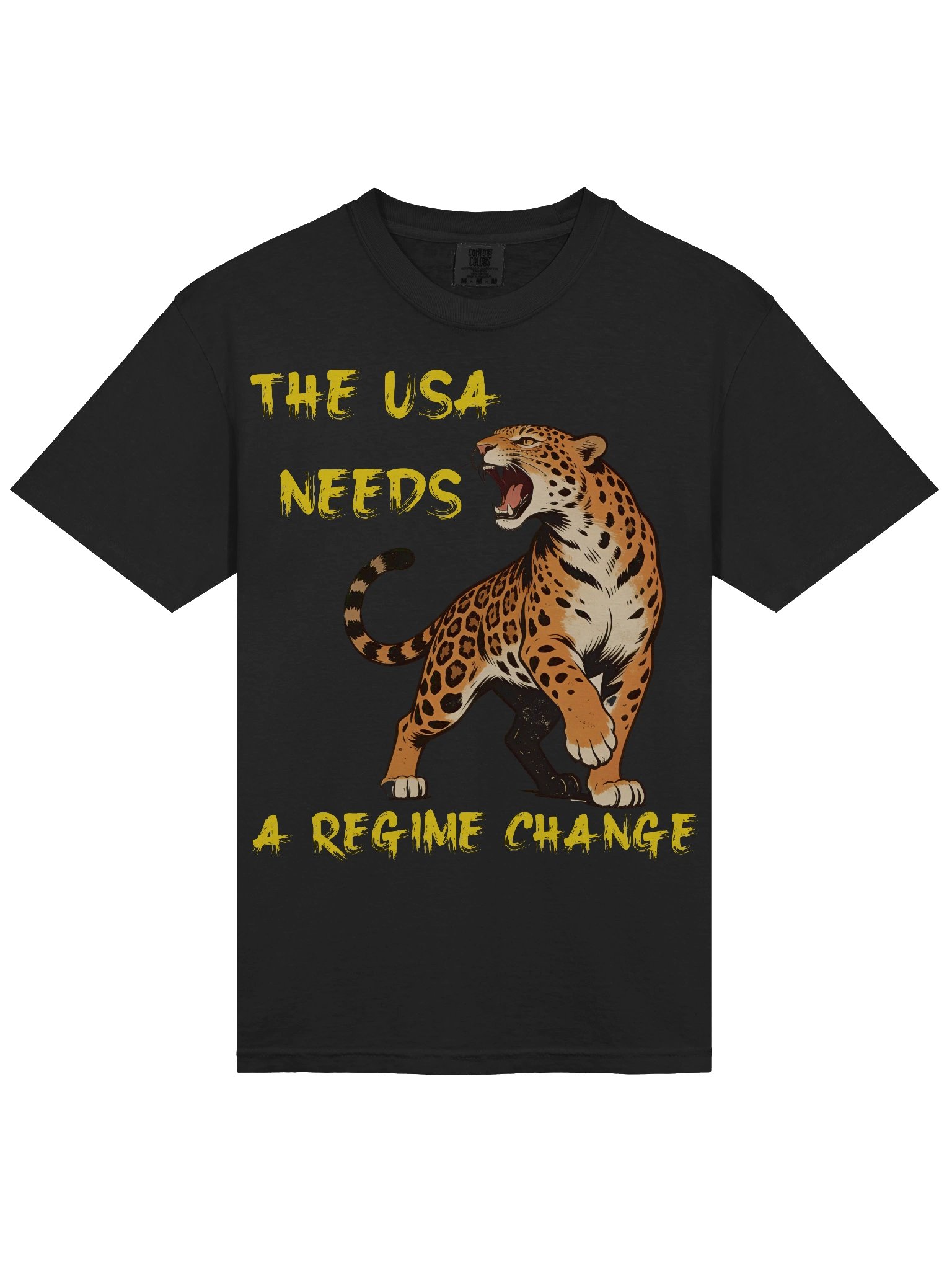 USA Needs Regime Change T-Shirt product image (5)