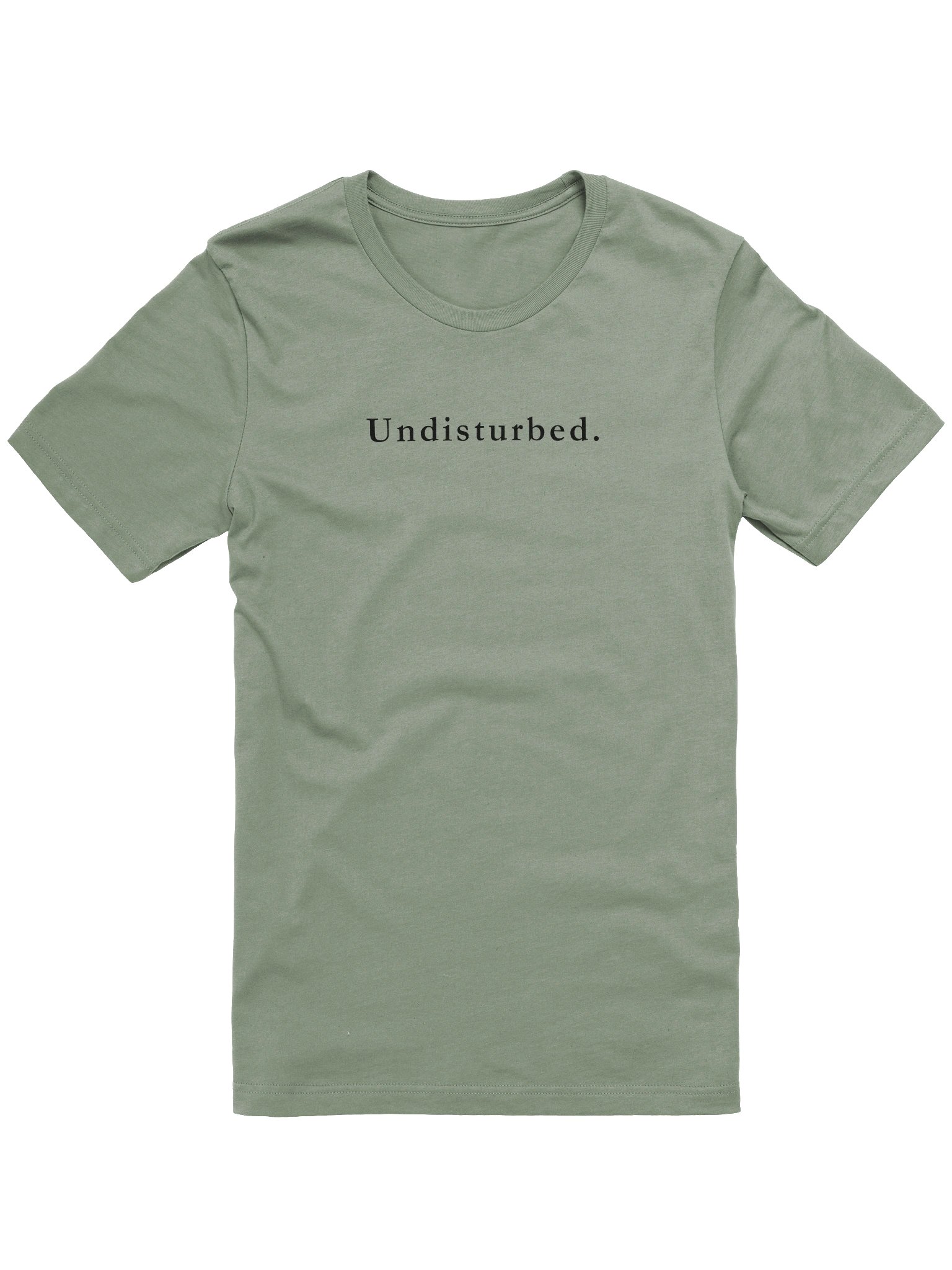 The Undisturbed. Signature Tee product image (4)