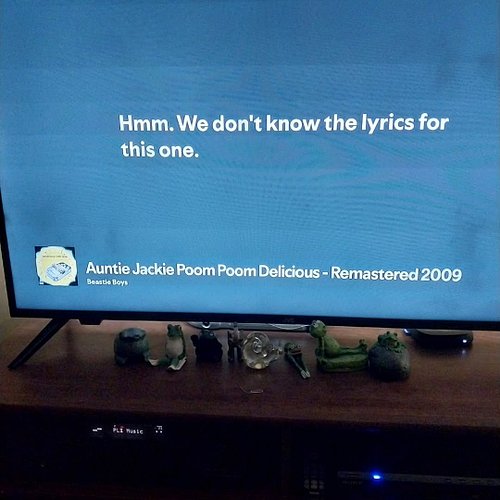 This must be the default Spotify screen for instrumentals.