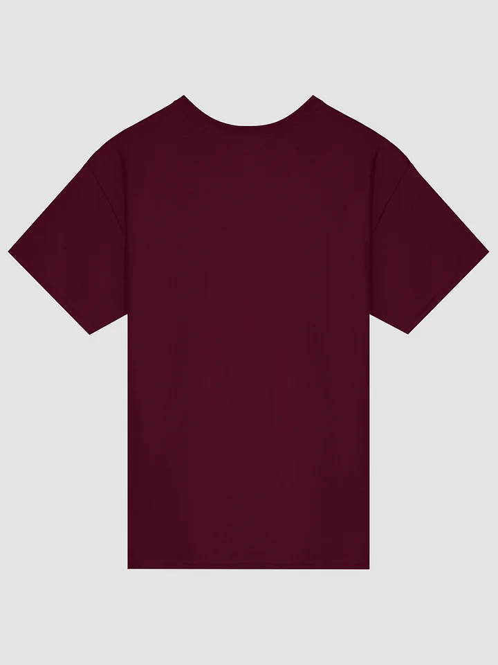 No Hate Like Christian Love! - Shirt product image (2)