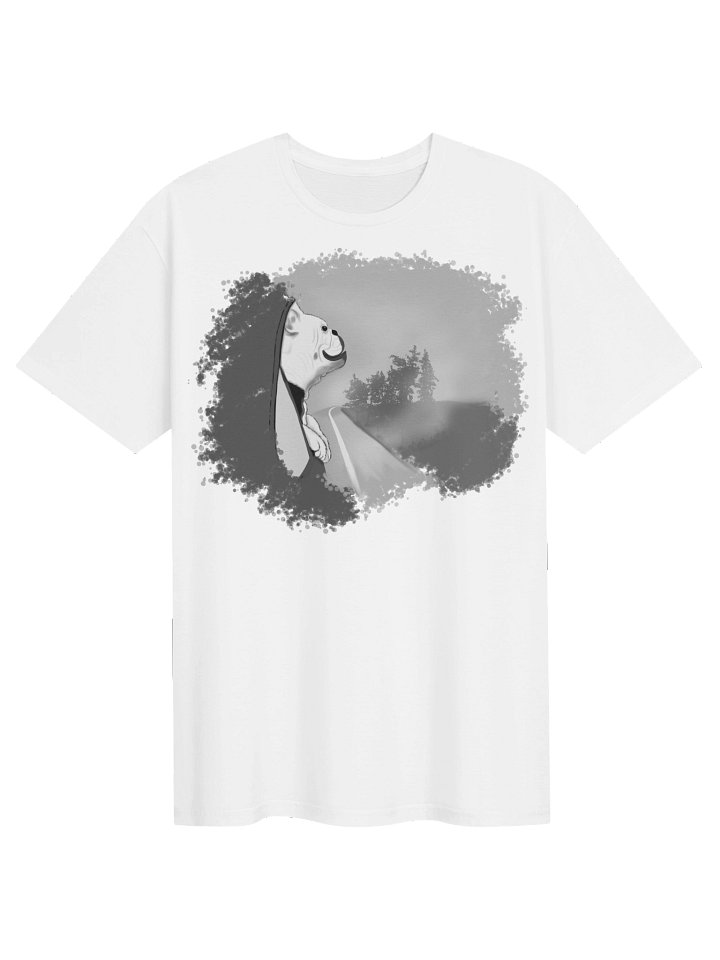 Unisex Gildan Softstyle T-Shirt product image (1)