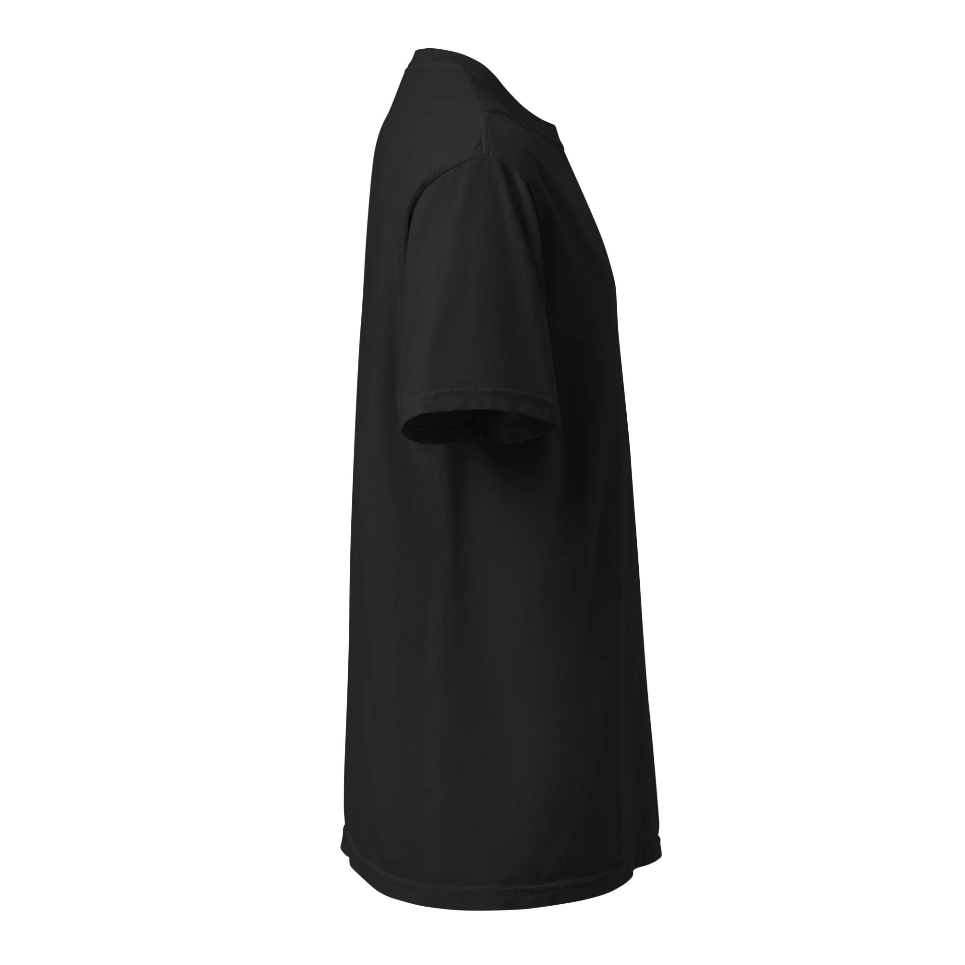 T-Shirt. product image (3)