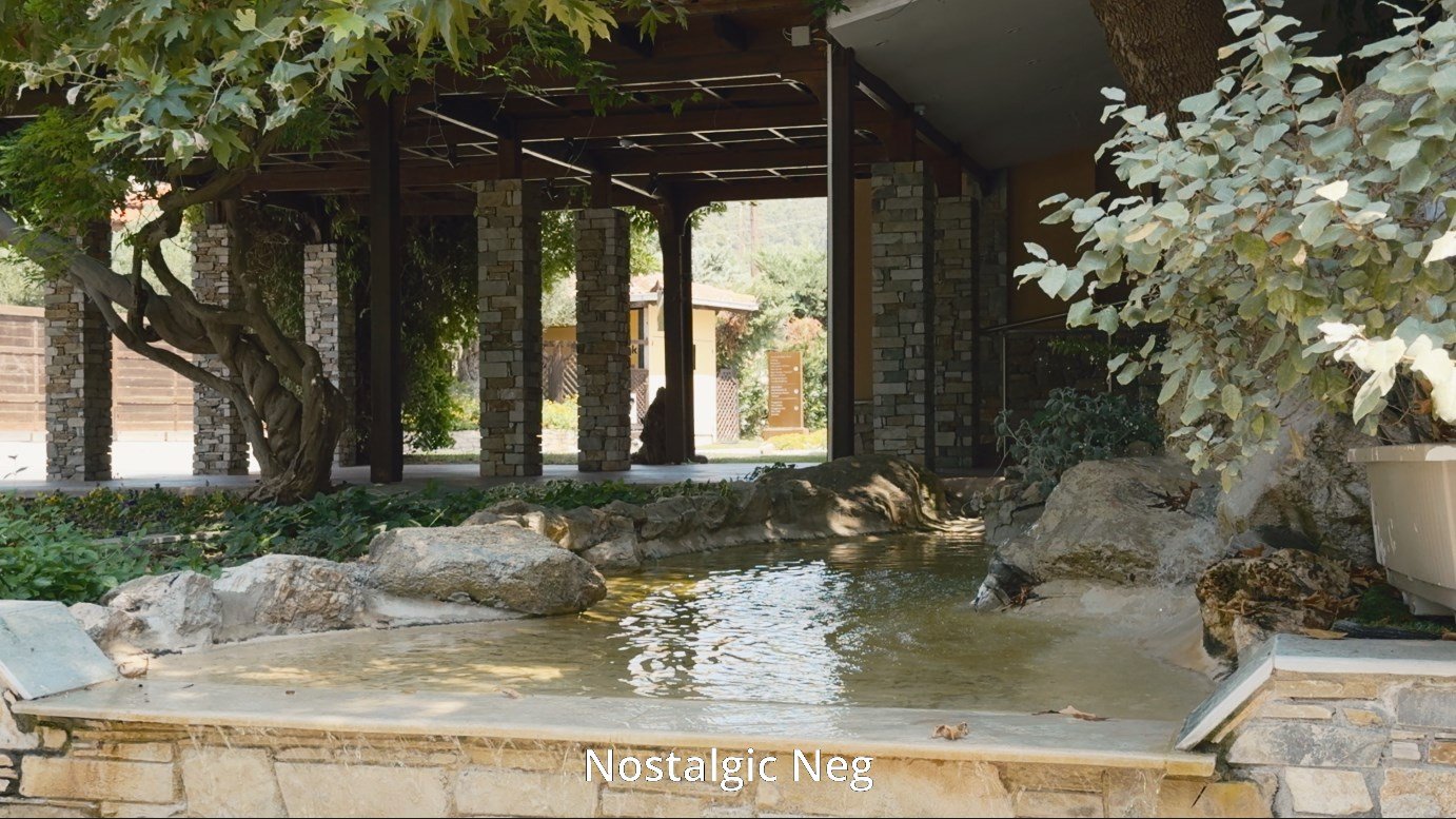 Fujify [Apple Log] 3D LUTs product image (7)