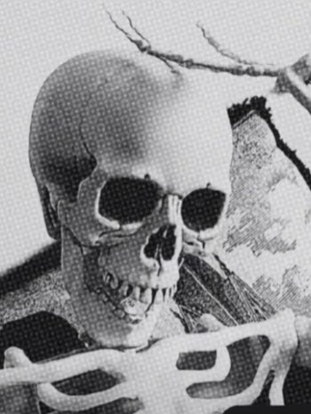 Mr Bob The Skeleton product image (1)