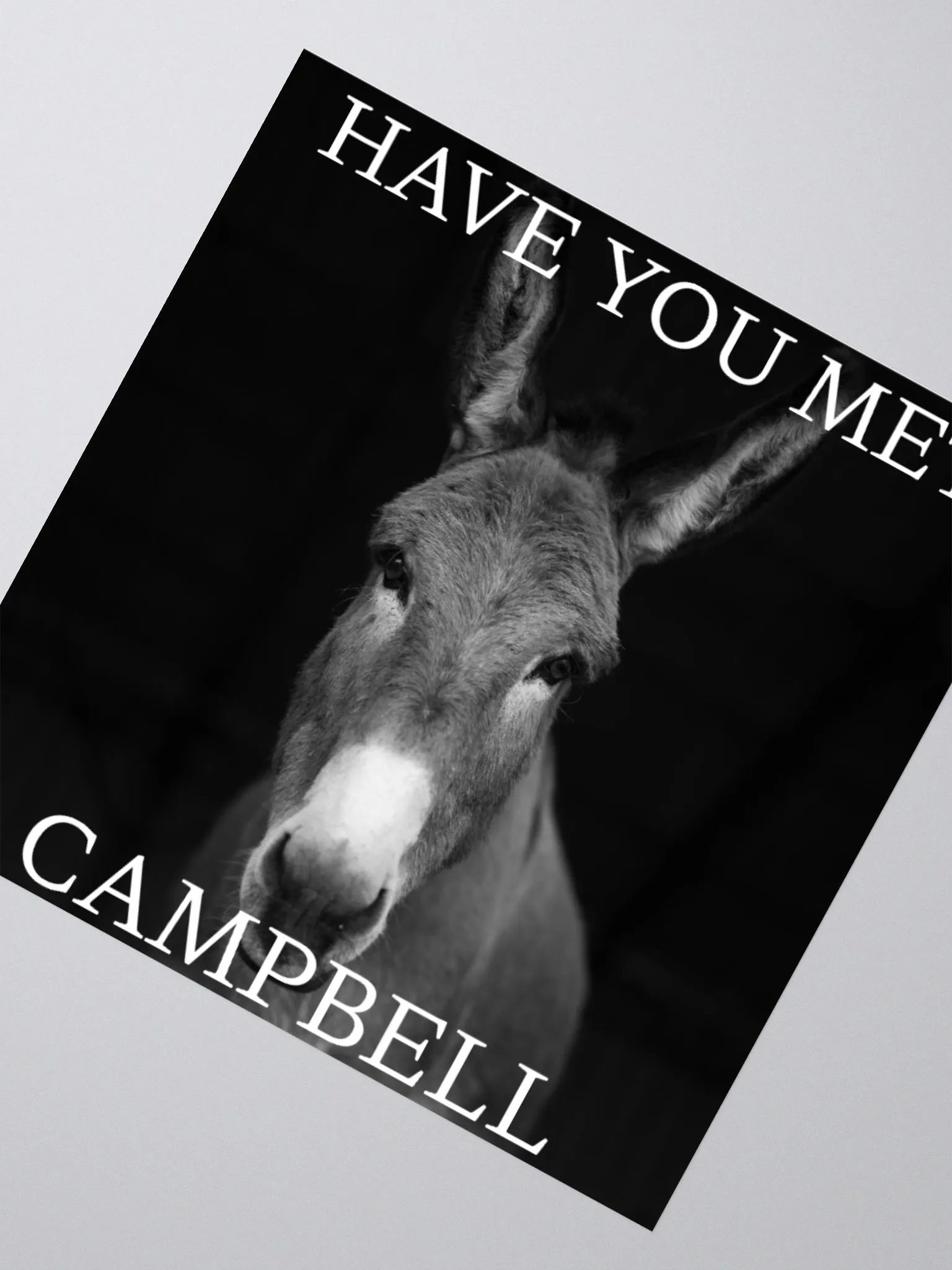 Have you met Campbell Sticker product image (6)