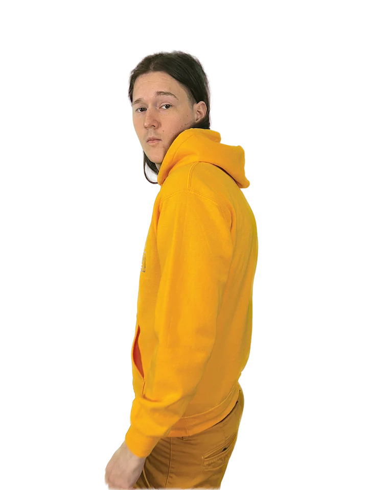 The spa named AE hood hoodie //midweight\\ worldwide! product image (2)