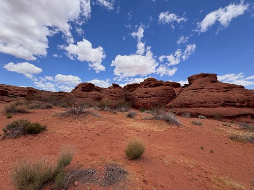 Beautiful city park and botanical garden in St George, Utah #noovolife