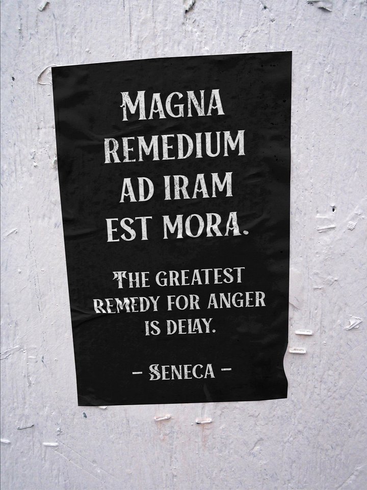 Seneca Stoic Quote Printable Poster product image (2)