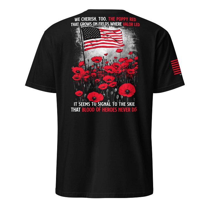 Blood of Heroes product image (1)