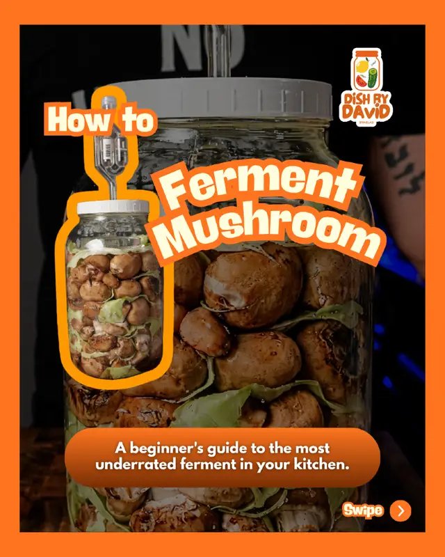 Mushrooms might be the most underrated ferment in your kitchen. No starter culture. No special equipment. No complicated recipe. Just mushrooms, salt, and time. The result is a savory, tangy ferment that adds a completely different layer of flavor to your meals. Here's the beginner-friendly process I use. If you'd like the full fermentation guide, the link is in my BIO.