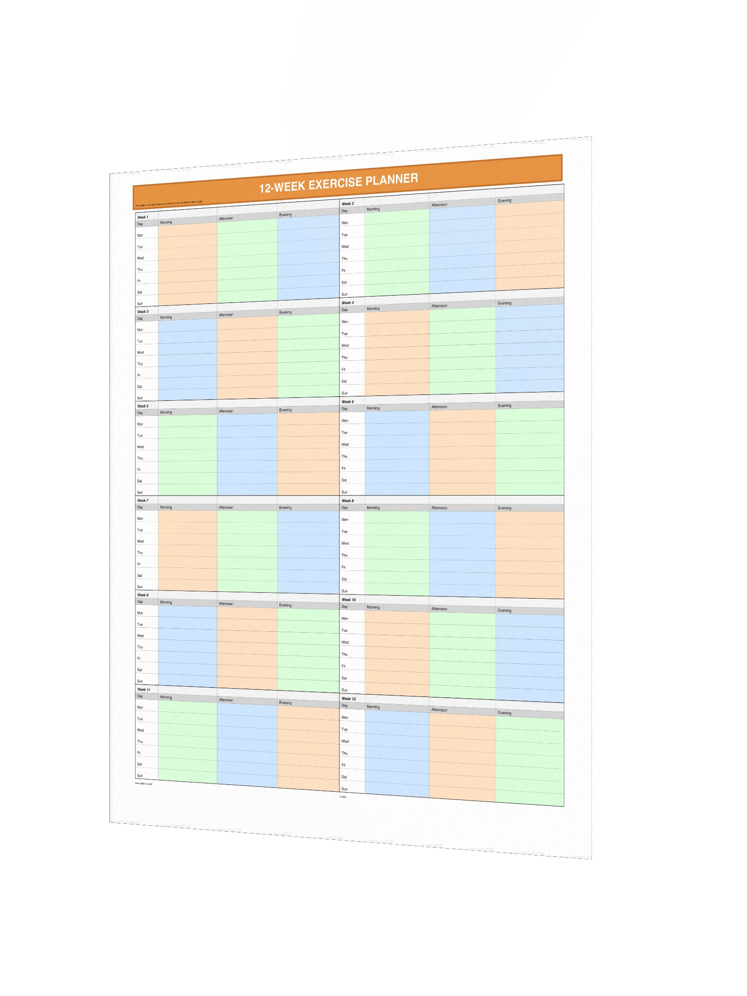 12 Week Exercise Planner product image (3)