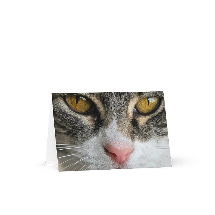 Mesmerizing Kitty Gaze Greeting Card product image (1)