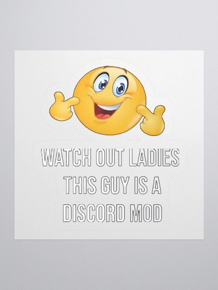 Watch Out Ladies This Guy Is A Discord Mod Sticker product image (1)