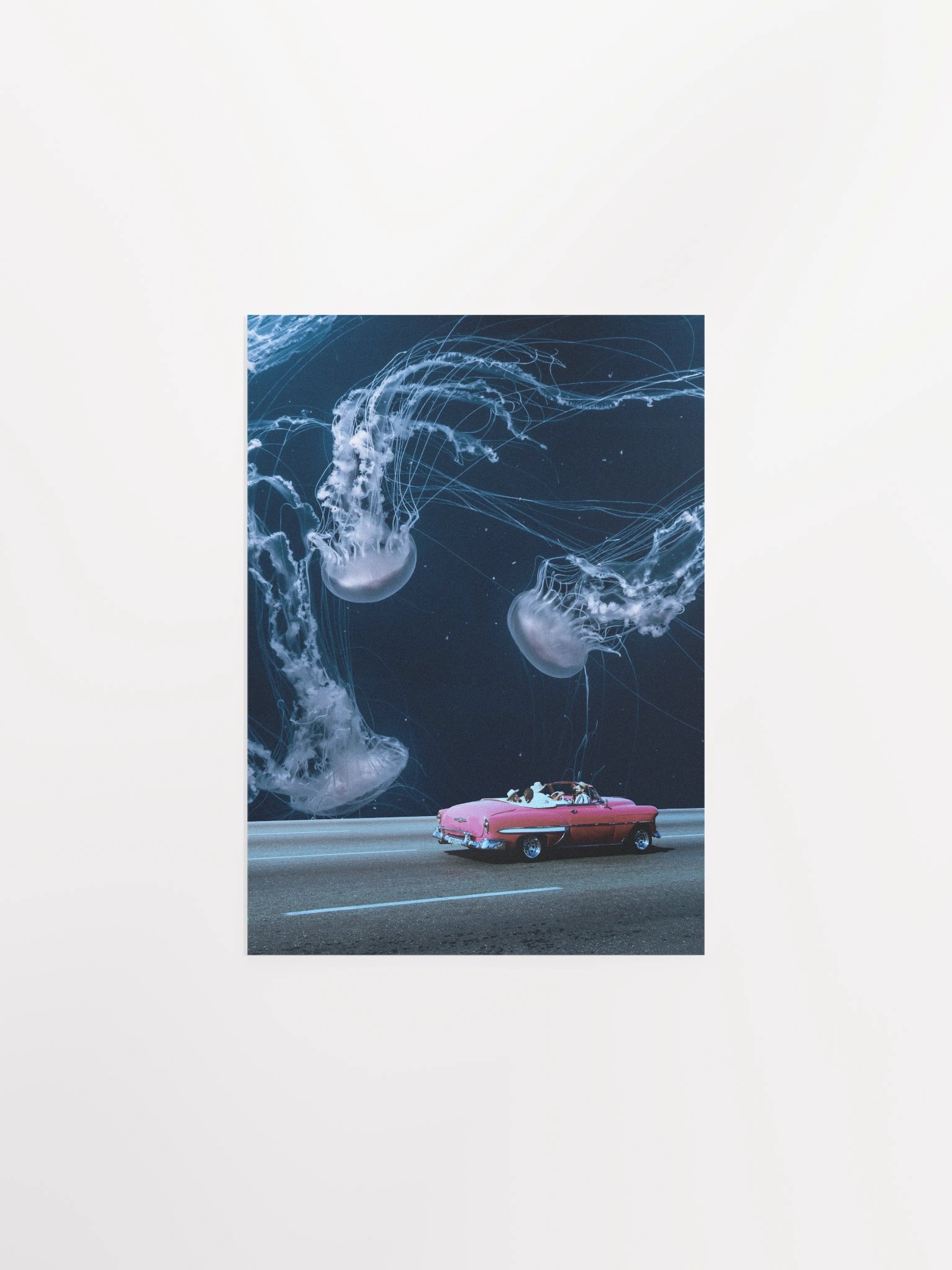 Jellyfish Poster product image (1)