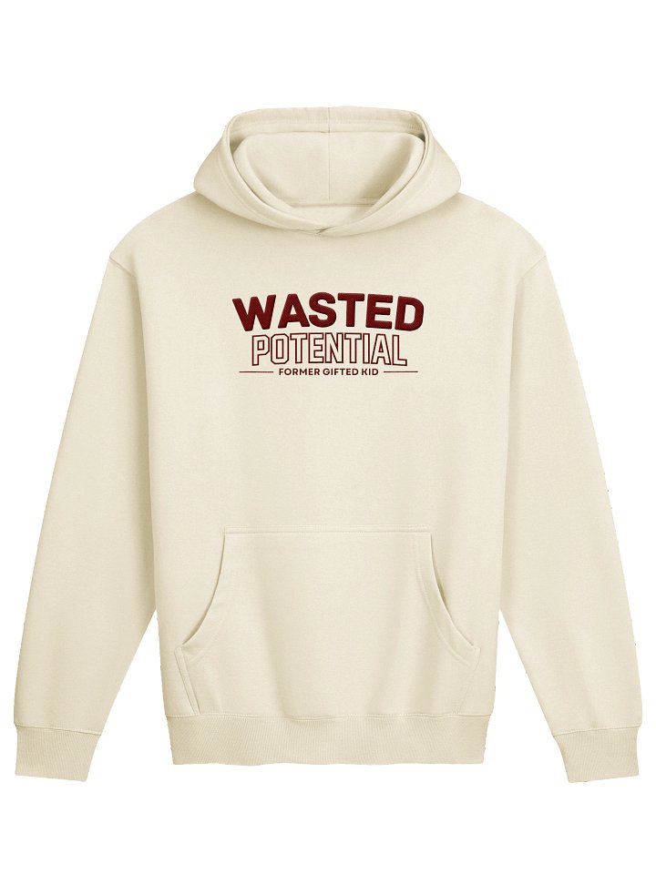 Former Gifted Kid Hoodie product image (1)