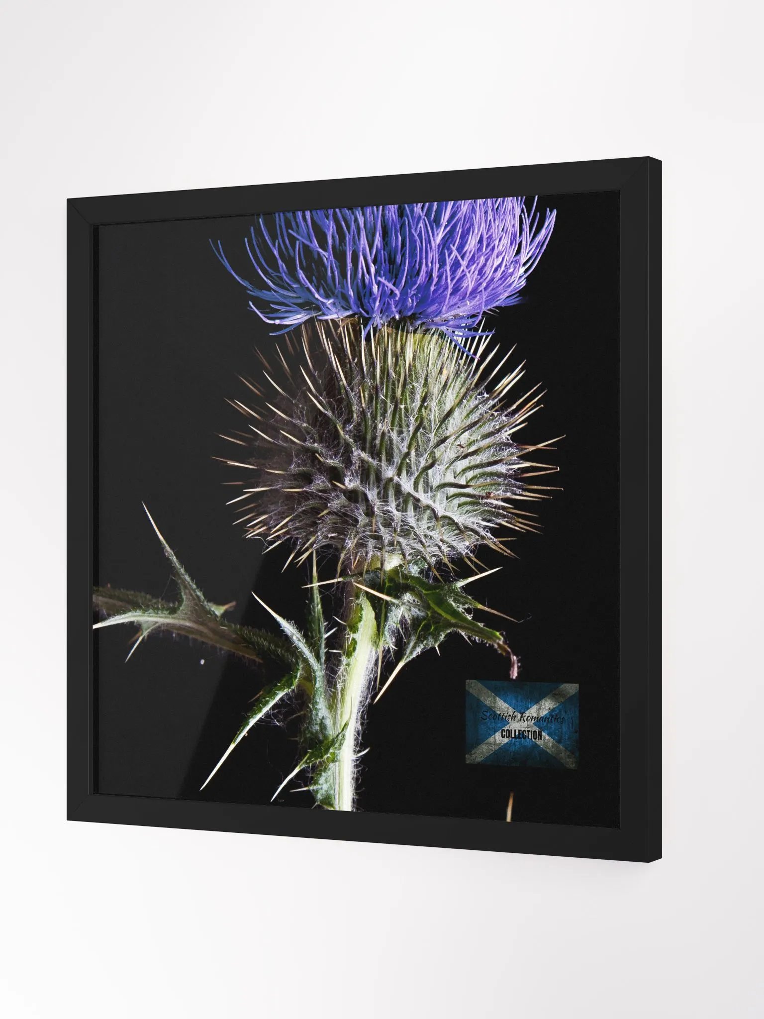 Scottish Romantics Collection product image (3)